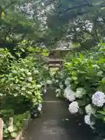 久安寺(大阪府)