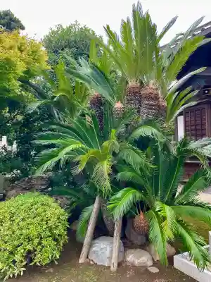 本瑞寺(神奈川県)