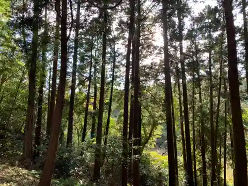 龍岳神社の自然