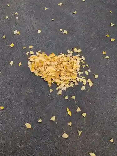 渋谷氷川神社(東京都)