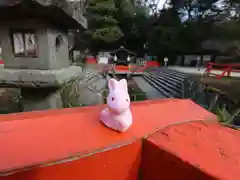 賀茂御祖神社（下鴨神社）のおみくじ