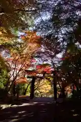 大原野神社の鳥居