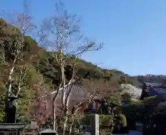 清荒神清澄寺の建物その他