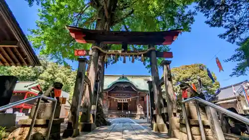 下総国三山　二宮神社の鳥居