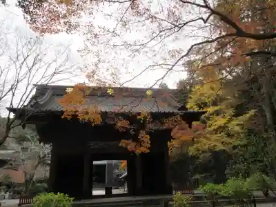 妙本寺の山門・神門