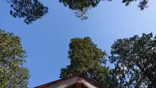 思金神社の景色