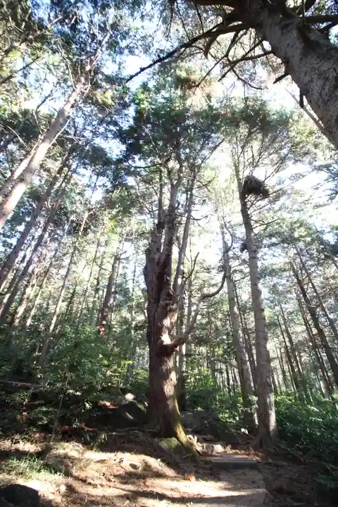 筑波山神社 女体山御本殿の自然