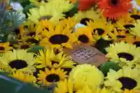 住吉神社の手水舎