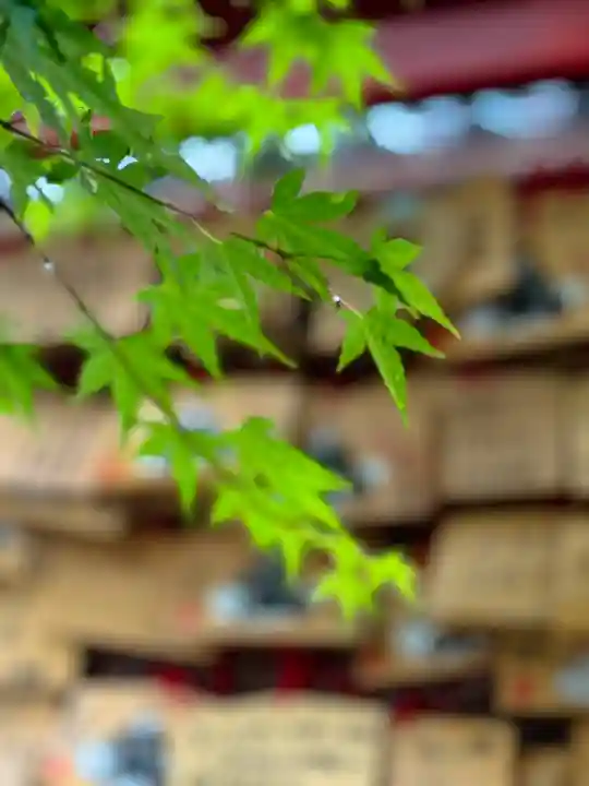 金澤神社(石川県)
