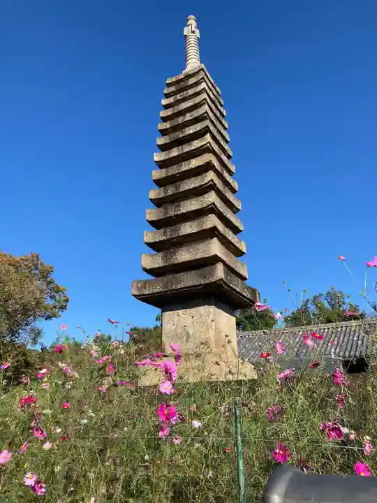 般若寺 ❁コスモス寺❁(奈良県)