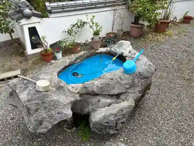 取星寺(徳島県)