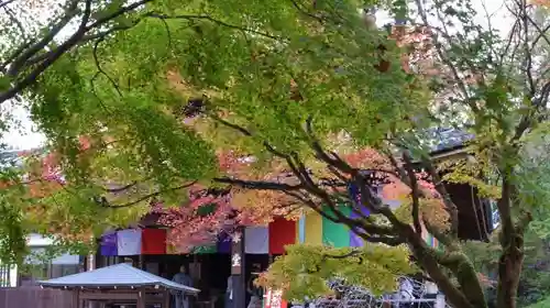 今熊野観音寺のその他建物