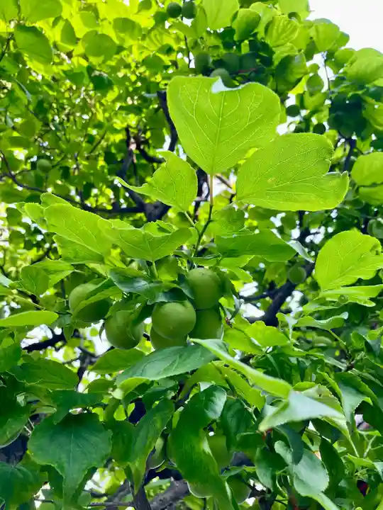 當光寺(東京都)