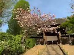 横浜　西方寺の本殿