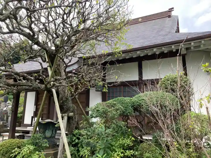 光照寺(神奈川県)