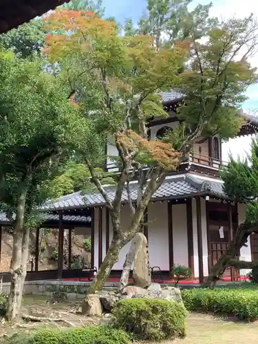 達磨堂 円福寺 の本殿・本堂