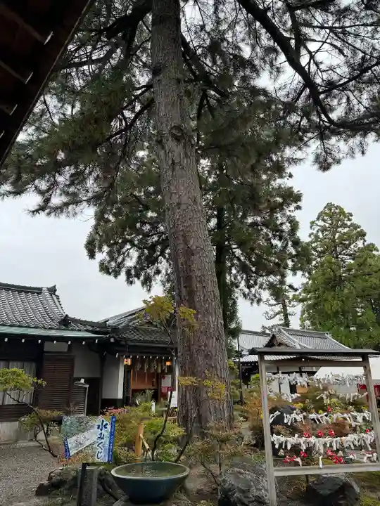 建部大社(滋賀県)