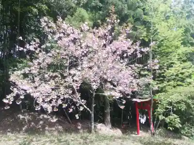 八幡神社(福島県)