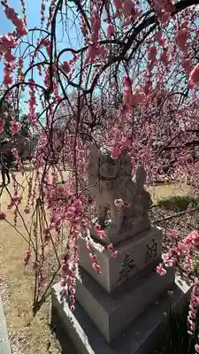 屯倉神社(大阪府)