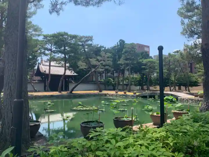 相国寺(相国承天禅寺)の庭園