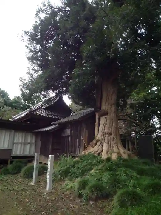 神田山延命院の自然
