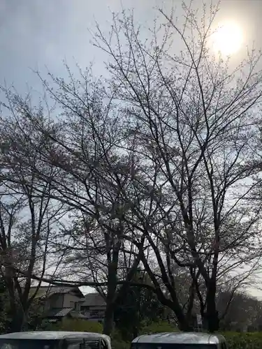 櫻木神社(千葉県)