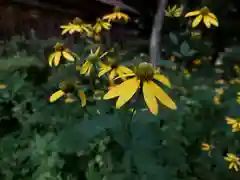 南湖神社の自然