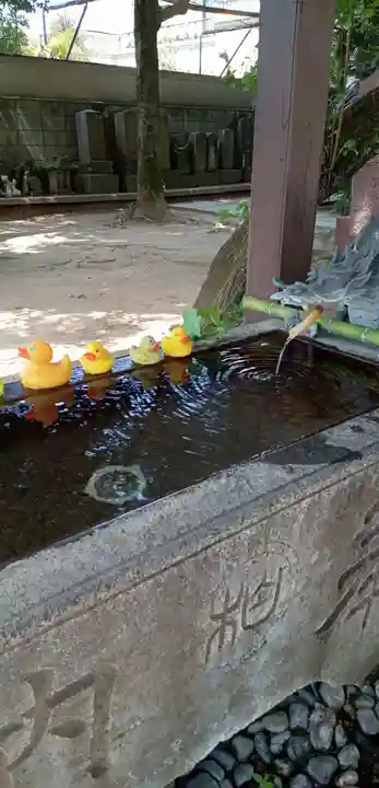柏諏訪神社(千葉県)