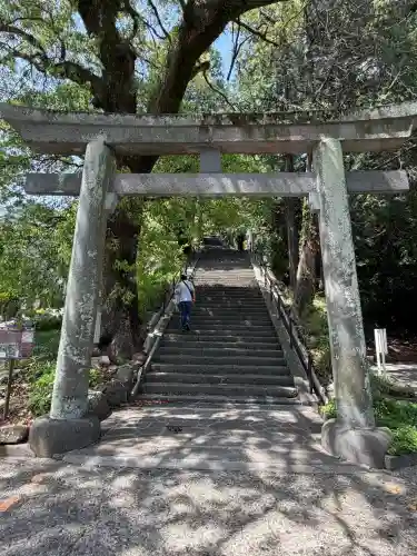 伊豆山神社の{uncategorized: "未分類", other: "その他", undefined: "問題あり", building: "その他建物", grave: "お墓", sacred_gate: "鳥居", guardian: "狛犬", statue: "像", buddha: "仏像", history: "歴史", nature: "自然", garden: "庭園", animal: "動物", pagoda: "塔", temizu: "手水舎", mountain_gate: "山門・神門", sanctuary: "本殿・本堂", subordinate: "末社・摂社", art: "芸術", scenery: "景色", jizo: "地蔵", ema: "絵馬", goshuin: "御朱印", omikuji: "おみくじ", items: "授与品その他", amulet: "お守り", goshuincho: "御朱印帳", eats: "食事", festival: "お祭り", votive_dance: "神楽", shichigosan: "七五三参", wedding: "結婚式", experience: "体験その他", initially: "初詣", around: "周辺", anti_infection: "感染症対策"}