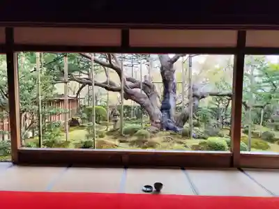 宝泉院(京都府)