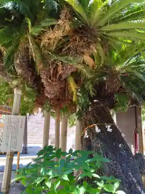 鳥飼八幡宮(福岡県)