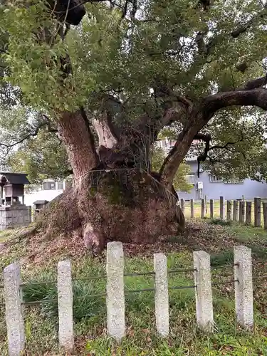 村上社(愛知県)