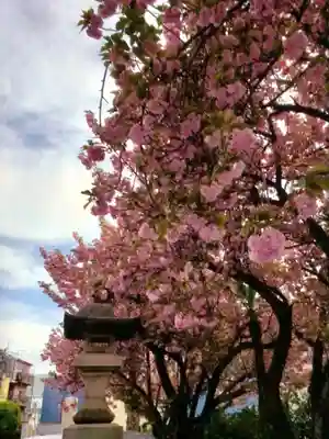 荘厳寺(東京都)