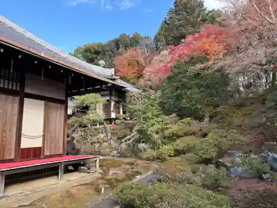 霊鑑寺門跡(京都府)