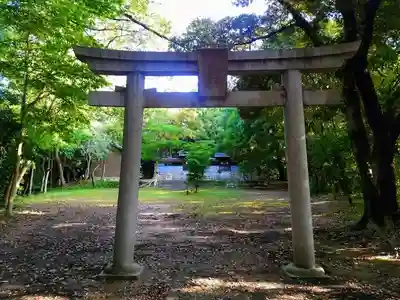 津島社（津島社・天満社）の鳥居