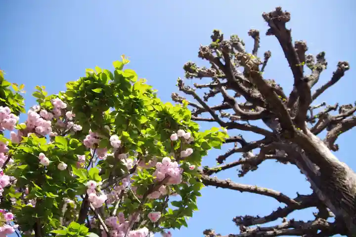 福王山 慈眼寺(東京都)
