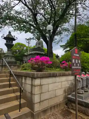 護国寺の{uncategorized: "未分類", other: "その他", undefined: "問題あり", building: "その他建物", grave: "お墓", sacred_gate: "鳥居", guardian: "狛犬", statue: "像", buddha: "仏像", history: "歴史", nature: "自然", garden: "庭園", animal: "動物", pagoda: "塔", temizu: "手水舎", mountain_gate: "山門・神門", sanctuary: "本殿・本堂", subordinate: "末社・摂社", art: "芸術", scenery: "景色", jizo: "地蔵", ema: "絵馬", goshuin: "御朱印", omikuji: "おみくじ", items: "授与品その他", amulet: "お守り", goshuincho: "御朱印帳", eats: "食事", festival: "お祭り", votive_dance: "神楽", shichigosan: "七五三参", wedding: "結婚式", experience: "体験その他", initially: "初詣", around: "周辺", anti_infection: "感染症対策"}