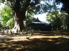 浅間神社(静岡県)