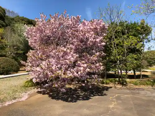 広幢院の庭園