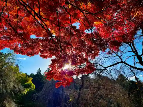 栄存神社(宮城県)