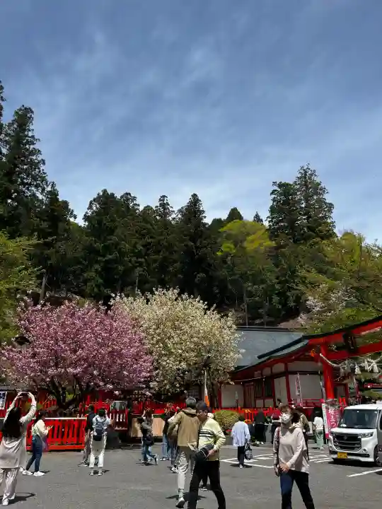 金櫻神社の{uncategorized: "未分類", other: "その他", undefined: "問題あり", building: "その他建物", grave: "お墓", sacred_gate: "鳥居", guardian: "狛犬", statue: "像", buddha: "仏像", history: "歴史", nature: "自然", garden: "庭園", animal: "動物", pagoda: "塔", temizu: "手水舎", mountain_gate: "山門・神門", sanctuary: "本殿・本堂", subordinate: "末社・摂社", art: "芸術", scenery: "景色", jizo: "地蔵", ema: "絵馬", goshuin: "御朱印", omikuji: "おみくじ", items: "授与品その他", amulet: "お守り", goshuincho: "御朱印帳", eats: "食事", festival: "お祭り", votive_dance: "神楽", shichigosan: "七五三参", wedding: "結婚式", experience: "体験その他", initially: "初詣", around: "周辺", anti_infection: "感染症対策"}