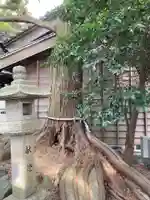 櫻神社(三重県)