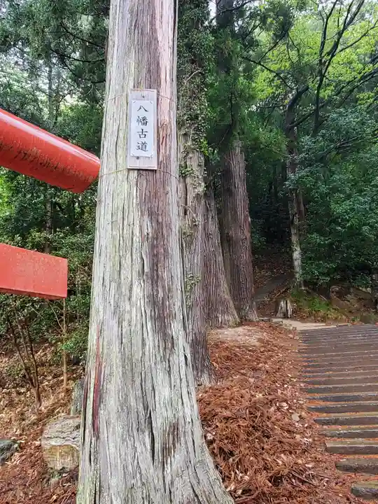 小幡八幡宮(群馬県)