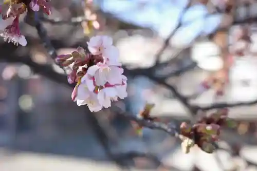 西新井大師総持寺の庭園