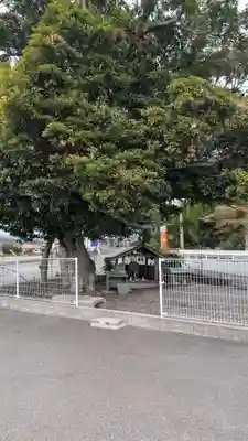 弁天様(福岡県)