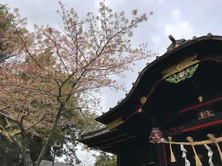 玉前神社の本殿・本堂