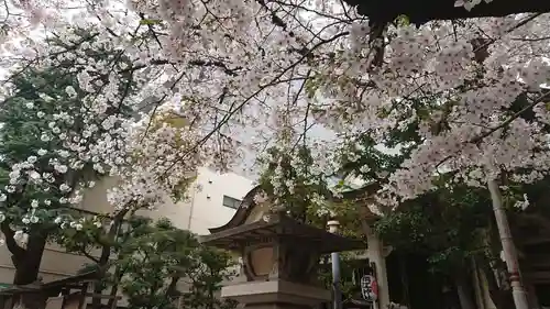 猿江神社の自然