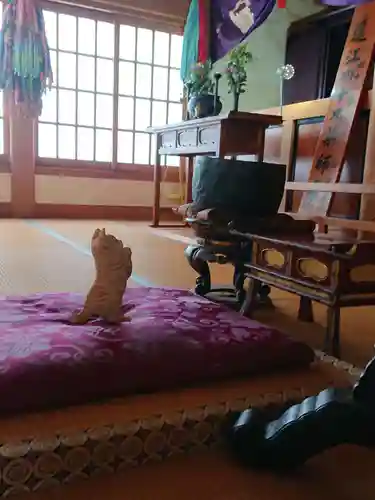 西光寺の本殿・本堂