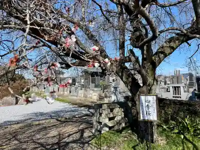常楽寺(栃木県)