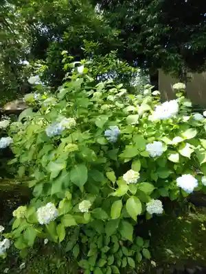 大山祇神社(福島県)